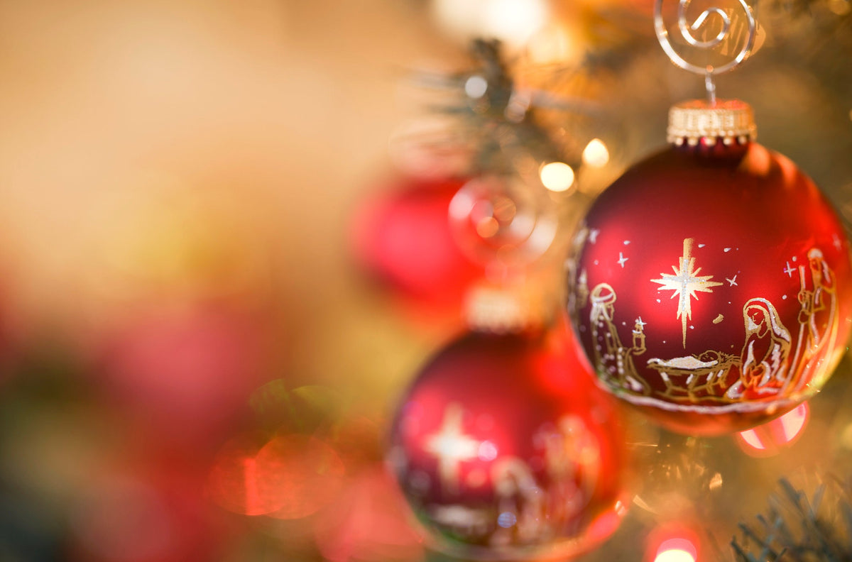 Christmas Page 7 McGaugh s Gardening Complex christmas-page-7-mcgaugh-s-gardening-complex