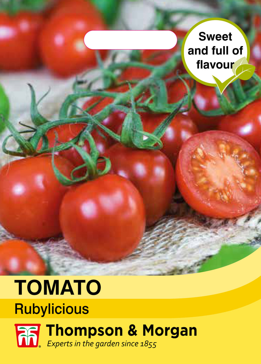 Moshi Rubylicious Tomato Rubylicious – McGaugh’s Gardening Complex
