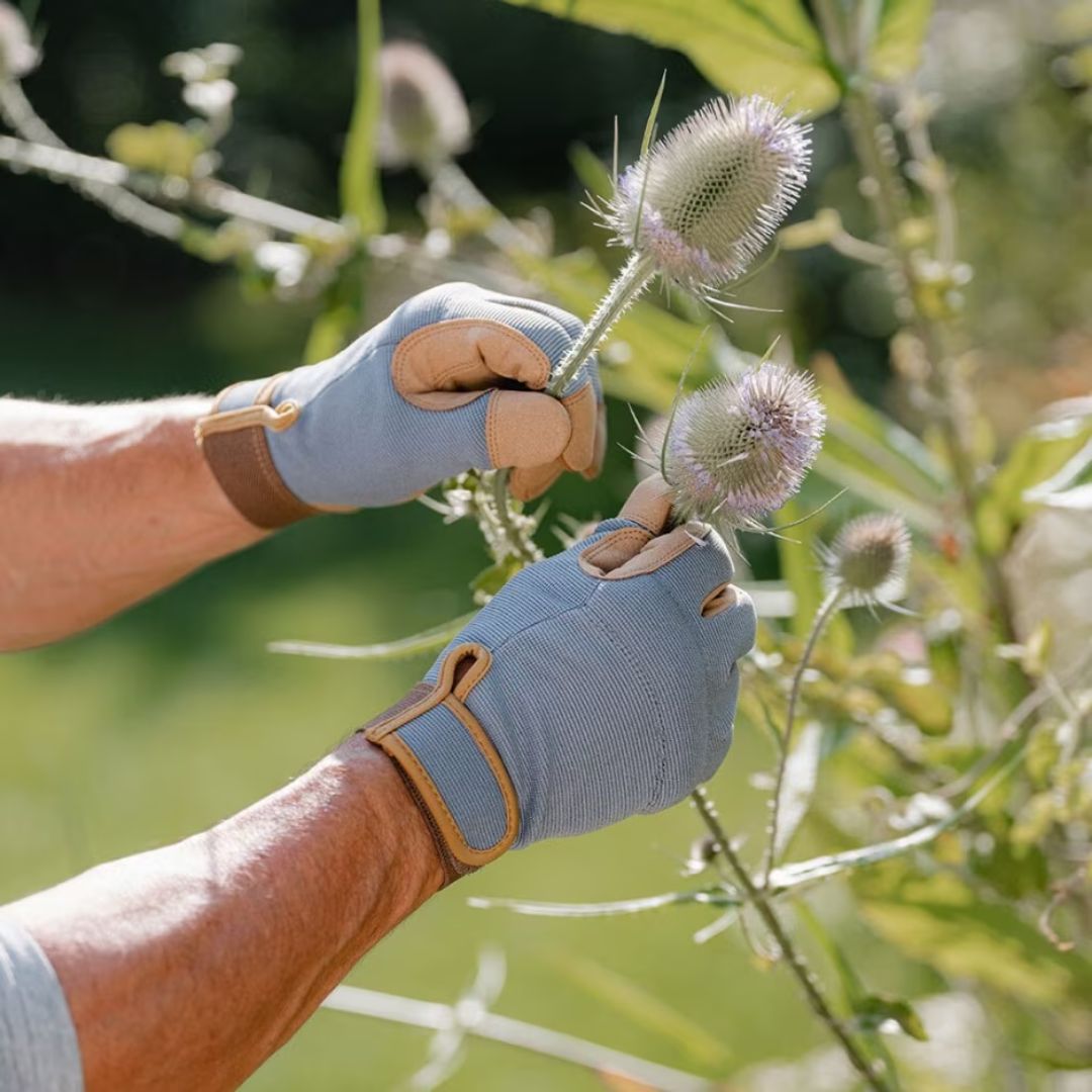 kent & stowe gardening gloves Kent & Stowe Premium Comfort Gloves – McGaugh's Gardening Complex