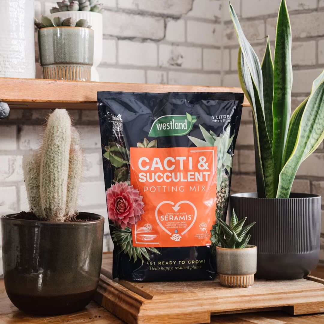 westland cacti and succulent potting mix Westland Cacti & Succulent Potting Mix Peat Free 4L – McGaugh's Gardening Complex