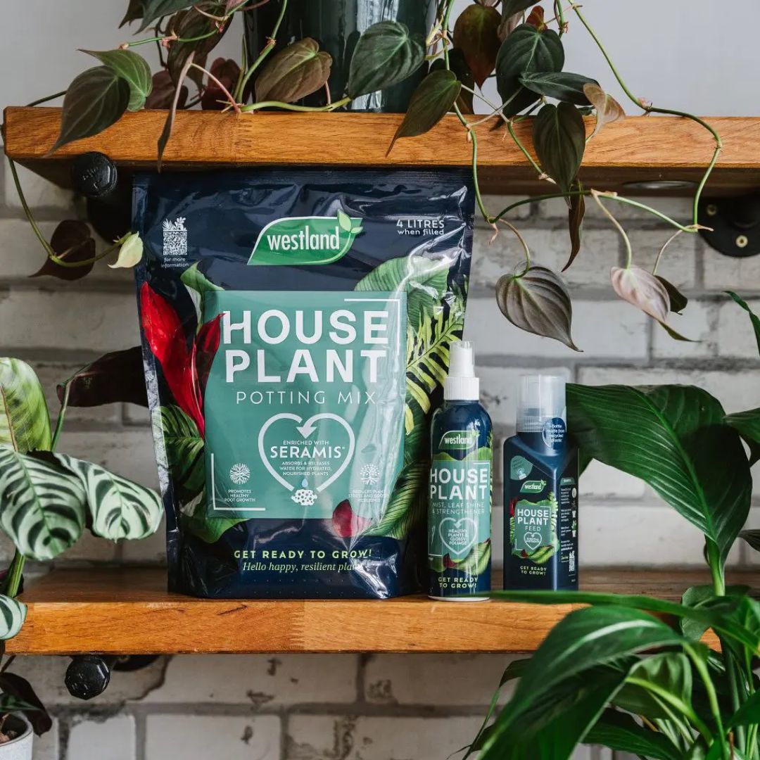 westland houseplant potting mix 4L Westland Houseplant Potting Mix – McGaugh's Gardening Complex