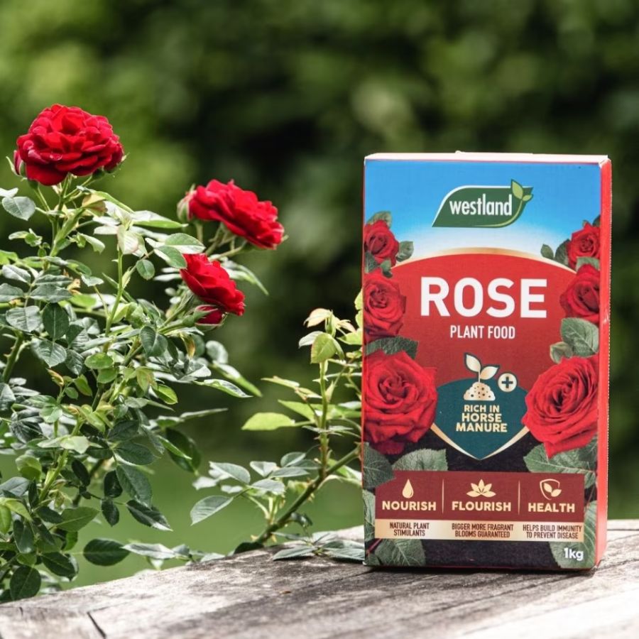 Manure And Roses Rose Food Enriched Horse Manure 1kg – McGaugh’s Gardening Complex