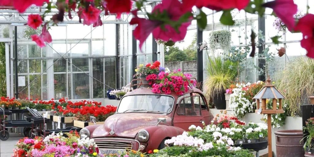 McGaughs Garden Centre 